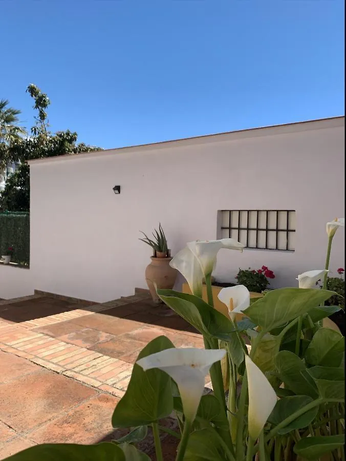 Apartamento A Estrenar Preciosa Suite-Céntrico-Con Jardín y Porche Torremolinos España